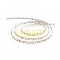 LED pásek 9,6W 840lm CW IP20 (studená bílá)